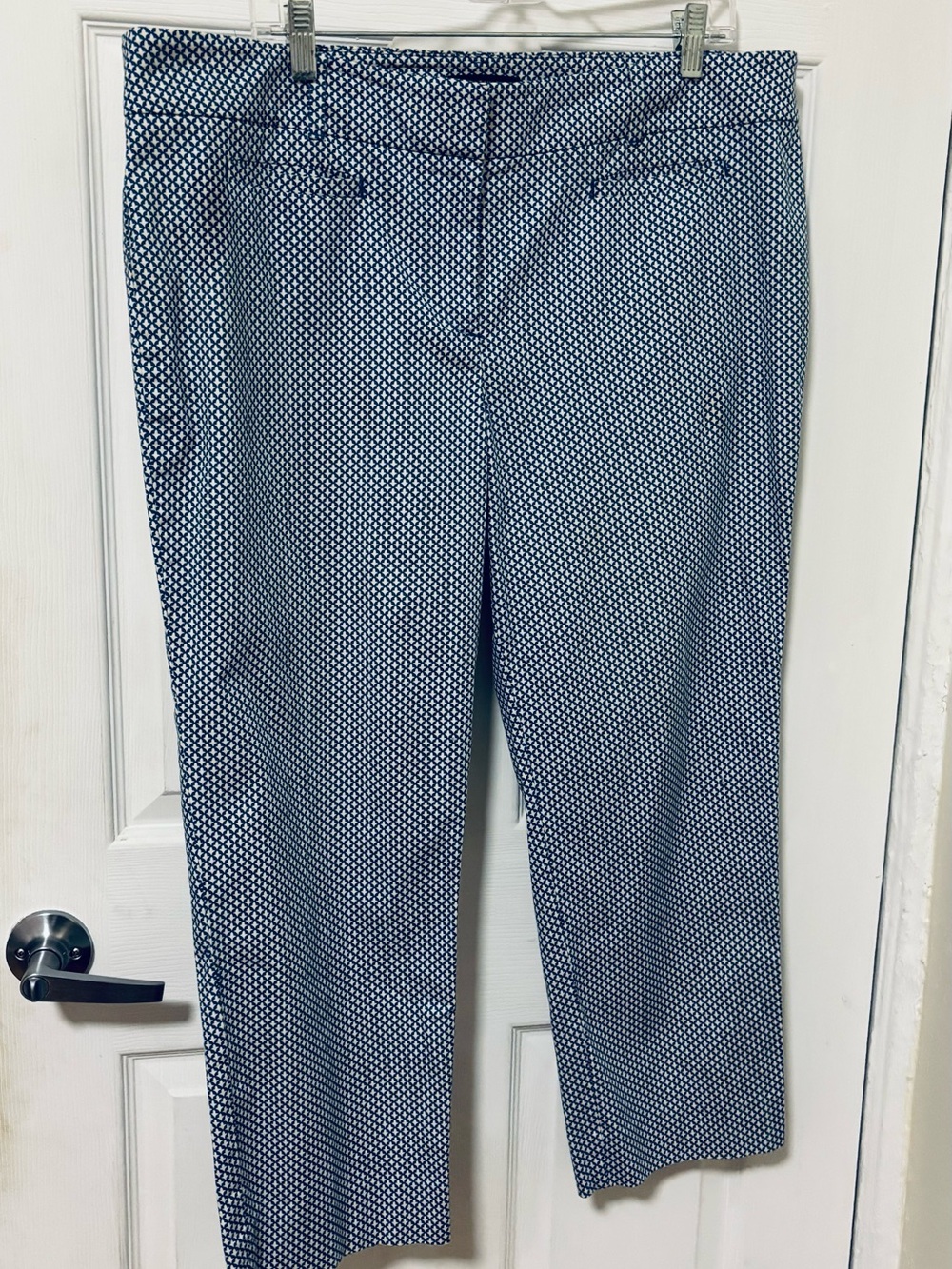 Ann Taylor Blue and White Printed Devin Fit Pants sz14